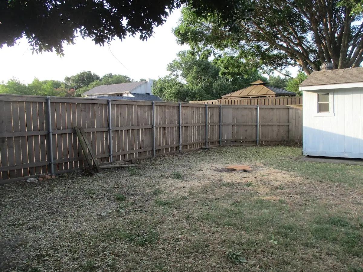 Cleared yard after professional tree removal in Macclenny